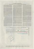 Amerikai Egyesült Államok 1962-1984. 10db-os vegyes részvény tétel, benne "Rayonier Incorporate...