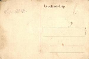 Temesvár, Timisoara; a jövőben montázslap / in the future montage postcard (EK)