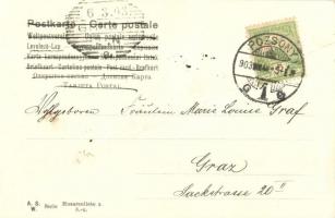 Husarenliebe / Búcsúzó huszár katona kedvesével / K.u.K. soldier's farewell to his love (fa)