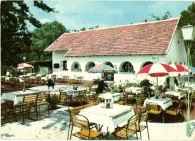 Balaton - 22 db modern Balaton környéki képeslap: éttermek és szállodák