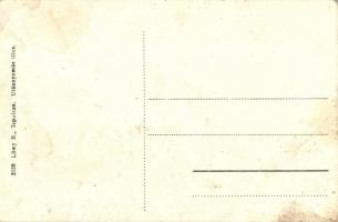 Csobánc, Vár, szőlőültetvény; Lőwy B. kiadása (fl)