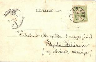 Balatonboglár, látkép, fürdőkabinok. Mérei Ignác kiadása (EK)