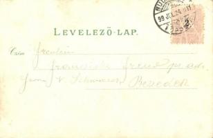 1899 Budapest, Gellérthegy, Főgimnázium, Főreáliskola, Eötvös József szobor, Margitszigeti forrás. K...