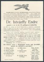 1916 Dr. Istvánffy Endre (1890-1916) jogász. cs. és kir. 29. gyalogezred hadapródjának halálozási értesítője, Törökbecse.
