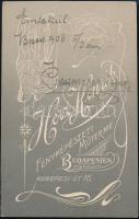 1906 Preszmeyer Rezső portréja, keményhátú fotó, Bp., Herz Henrik, a hátoldalon ajándékozási sorokka...