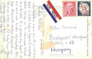 Cat ladies in the mall walking the dog, escalator. Alfred Mainzer ALMA No. 4893. (EB)