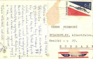 Cats making a mess in the kitchen while baking. Alfred Mainzer ALMA No. 4676. Max Künzli (gluemark)