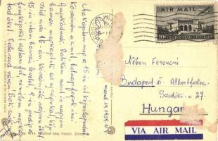 Cats in the automobile crash with tree, truck trailer, motorbike, cow. Alfred Mainzer ALMA No. 4749....