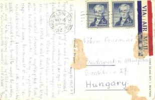 Cats attacked by bees, beekeeper's farm near the lake. Alfred Mainzer ALMA (gluemark)