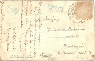 Balatonlelle, Darányi Ignác park, Balaton szálloda. Wollák József utóda kiadása (fl)