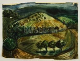 Jelzés nélkül: Dombos táj. Akvarell,papír, szélei sérültek, 32×43 cm