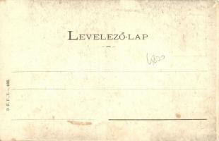 Balaton vidéke, Üdvözlet Somogyországból! D. K. F. E. 896. (EB)