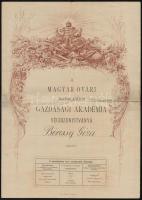 1885 A magyaróvári gazdasági akadémia végbizonyítványa, a hajtások mentén szakadásokkal
