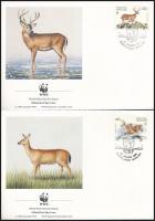 WWF: Szarvasok sor  4 FDC-n + a sor WWF-es értékei WWF White tailed deer set + set on 4 FDC-s