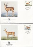 WWF: Szarvasok sor  4 FDC-n + a sor WWF-es értékei WWF White-tailed deer set + set on 4 FDC-s