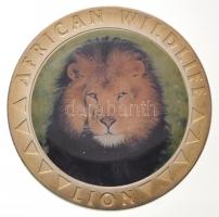 Libéria 2000. 5$ ezüstözött Cu-Ni "Oroszlán" multicolor T:1 patina Liberia 2000. 5 Dollars silver plated Cu-Ni "Lion" multicolor C:UNC patina