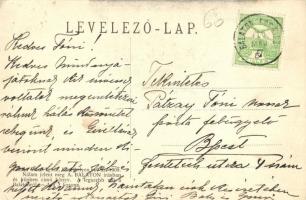 Balatonederics, Római katolikus templom, Fekete kastély, Solyomy kastély, Fő utca, György villa, Mát...