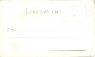 Balaton, Szarvasmarhák a parton, gőzhajó. Werbőczy Könyvnyomda kiadása litho s: Telegdy (szakadás / ...