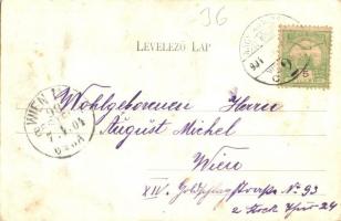 Nagykanizsa, Fő út, Takarékpénztár, üzletek. Fischel Fülöp kiadása (fl)