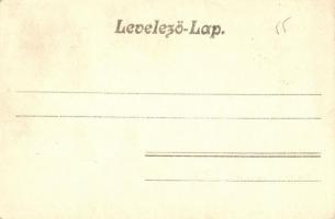 Vép, Gróf Erdődy Sándor kastély, vár. Steegmüller fényirda, Karlovits Ferenc kiadása (EB)