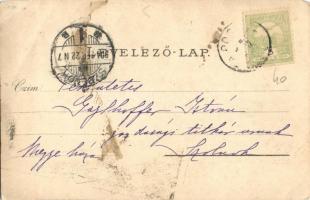 1904 Szenttamás-puszta (Pusztapó, Kétpó), Gróf Almásy Imre uradalma, kastély. photo (EM)