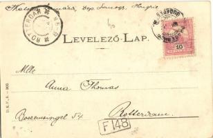 Balaton vidéke, Sümegi országút, szarvasmarha legeltetése. D. K. F. E. 902