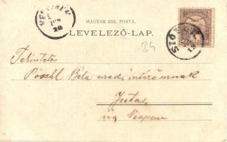 Siófok, B. Bárdossy Imre nyaraló telepe, villa. Weiss L. és F. kiadása, floral Art Nouveau (vágott /...