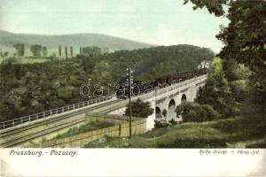 Pozsony, Pressburg, Bratislava; Rothe-Brücke / Vörös-híd, vasúti híd, gőzmozdony / railway bridge, locomotive (EK)