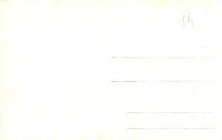 Trencsén, Trencín; látkép / general view. photo