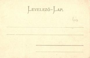 Sztrecsnó, Sztrecsény, Strecno; A Vág-völgye. Várrom Zsolna mellett. Gansel Lipót 240. / Das Waagtha...