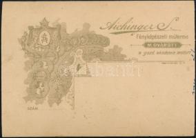 cca 1890 Magyar úr díszmagyarban, keményhátú fotó Aichinger magyaróvári műterméből, vágott szélekkel...