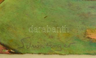 Schönberger jelzéssel: Látomás. Vegyes technika, karton, üvegezett keretben, 32×39 cm