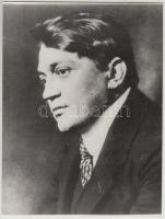 cca 1960-1970 Vegyes fotó tétel, 9 db, háztetők, Ady Endre képek fotómásolatai, 24x18 cm