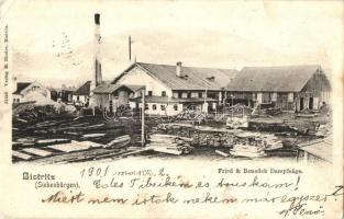 Beszterce, Bistritz, Bistrita; Fried & Benedek Dampfsäge. Verlag M. Binder / Fried és Benedek gőzfűrész telepe / steam saw mill (EK)