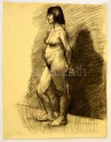 Barcsay jelzéssel: Női akt, szén, papír, felcsavarva, 71,5×50 cm