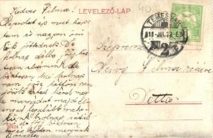 Temesvár, Timisoara; Gyárváros. Kossuth tér, piaci árusok, Marokkaner szálloda, Toffler Jakab, Zichy...