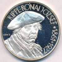 Tóth Sándor (1933-) / Szabó Géza (1939-) 1993. "MÉE XXIII. Vándorgyűlése Kaposvár / Rippl-Rónai...