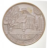 Rajki László (1939-) 1988. "MÉE Orosházi csoportja / Eötvös József 193-1971" jelzett Ag em...