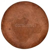 1927. "A Magyar Állami Gyermekvédelem 25. évfordulójára 1902-1927" Br emlékérem (65mm) T:2