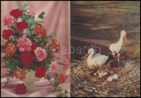 10 db 3 dimenziós képeslap és kép: állatok és virágok