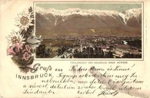 Innsbruck, panorama. Ottmar Zieher floral Art Nouveau litho (kis szakadás / small tear)