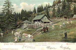 Hochlantsch, Almwirtschaft zum guten Hirten / Josef Kreils farm and guest house in the Alps, cows, horses. Kunstverlag Carl Frank, Louis Glaser (EK)