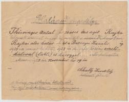1925 Halászati engedély rajkai lakos részére, mosoni kiállítással, aláírással.