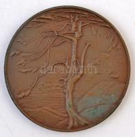 Kiss Nagy András (1930-1997) DN "Csontváry Tivadar" Br emlékérem ÁPV plasztiktokban (60mm)...