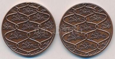 Fritz Mihály (1947-) 1996. "MÉE Budapest - A honfoglalás emlékére" Br emlékérem (42,5mm) +...