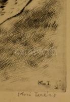 Kiss Terézia (1928- ): Alkonyat a Balatonon, rézkarc, papír, jelzett, üvegezett fa keretben, 29×40 c...