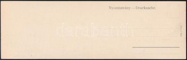 Budapest, Dunai részlet az Országházzal, Lánchíd. Taussig A. hajtatlan panorámalap