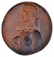 Duray Tibor (1912-1988) DN "Női akt" Br plakett (130mm) T:2