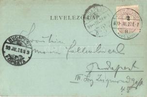 1899 Pozsony, Pressburg, Bratislava; látkép, vár. Edgar Schmidt, Kozics Ede kiadása / general view w...