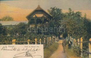 Balatonalmádi, Óvári út, Balogh villa, szőlőkert. Pósa E. kiadása